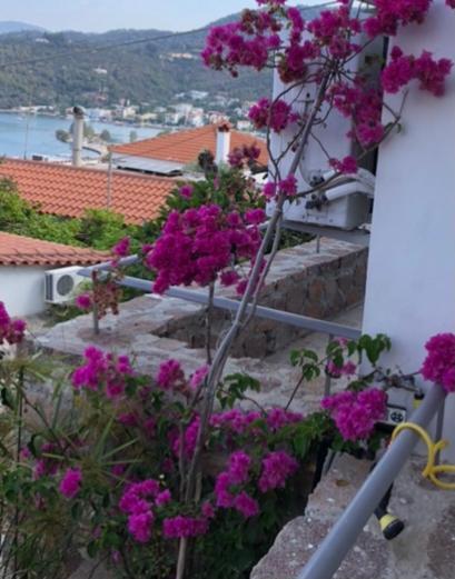 Veranda Blue - Poros Poros Town Esterno foto